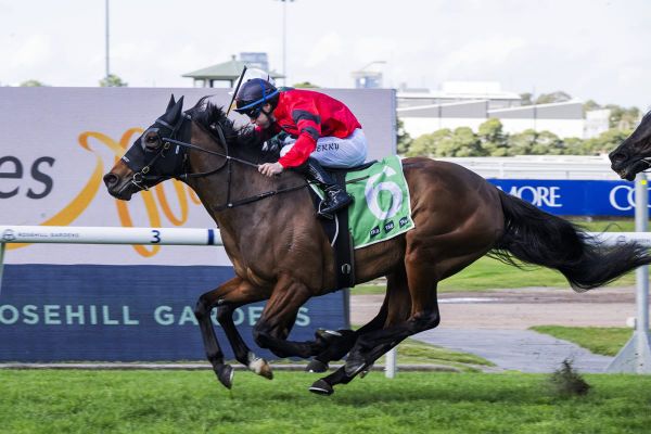 Rosehill redemption for Transcend
