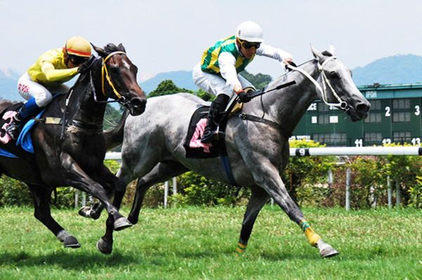 Winning reunion for Wong and Winning Stride