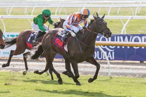 Zafar to kick-off Guineas preparation