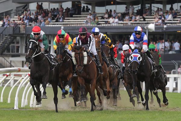 NZTR and HRNZ unite behind programme for a sustainable racing future