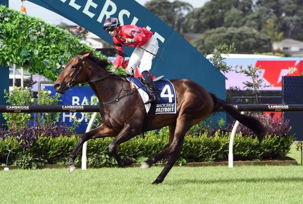 Clotworthy trio please in Ruakaka trial