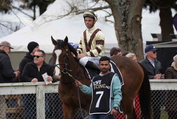 Fortunato steps up for hometown Guineas