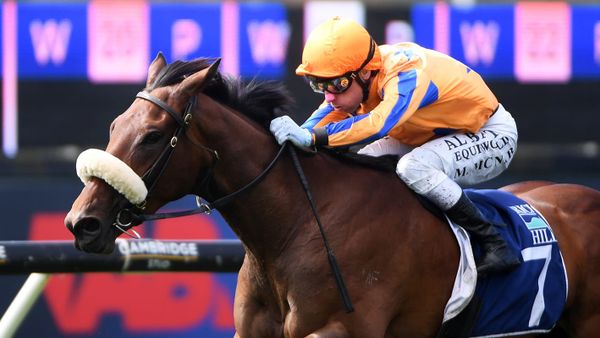 Guineas aspirations for impressive debut winner