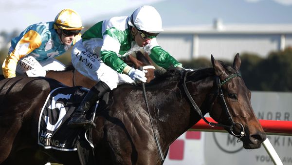 Unbeaten Kiwi mare turns heads at Flemington