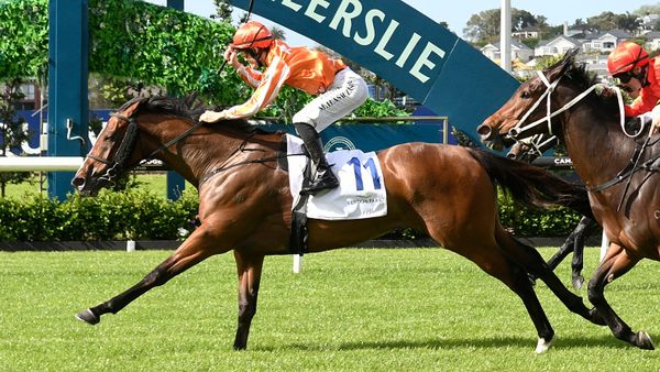 Arabian Songbird resumes at favourite track