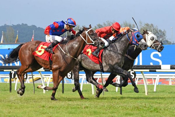 Honor goes to Banker in Merdeka Cup