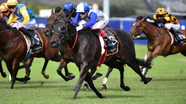 Belle Cheval retired