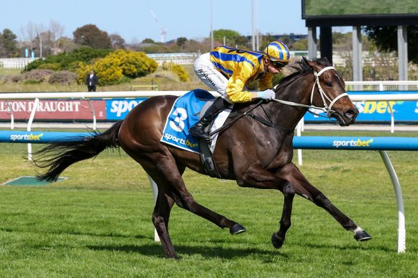 Blind Raise builds towards Caulfield Guineas tilt