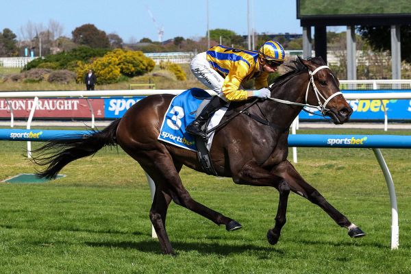 Blind Raise makes statement in Caulfield Guineas Prelude