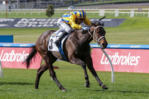 Busuttin to Raise bar with Prelude hope