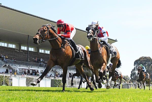 Mile contender on trial for sterner challenge