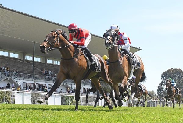 Mile contender on trial for sterner challenge