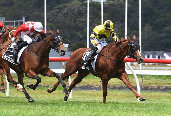 Multiple Group Three winner retired to broodmare paddock