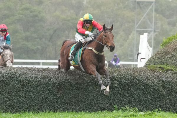 Preusker hoping Christmas comes early at Te Aroha