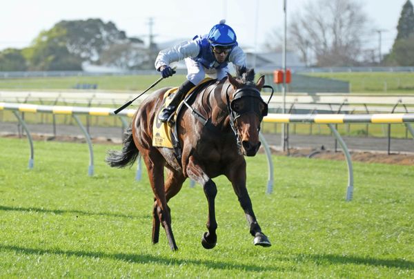 Thrilling finish to Taranaki staying feature