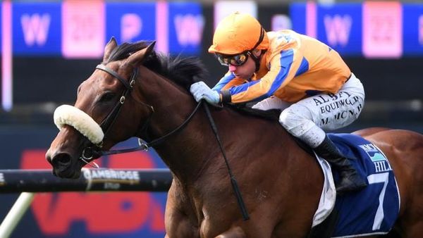 Guineas aspirations for impressive debut winner