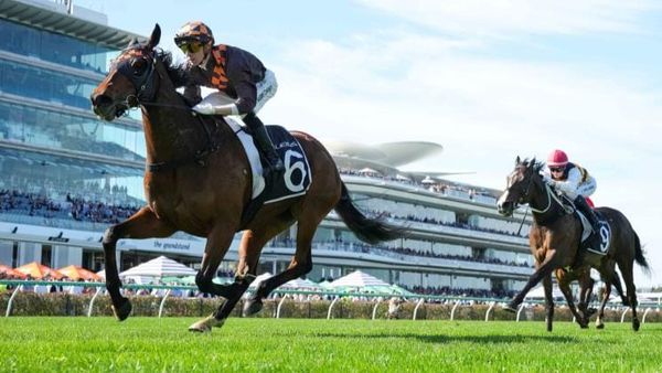 Group One Australian aspirations for Kiwi-breds
