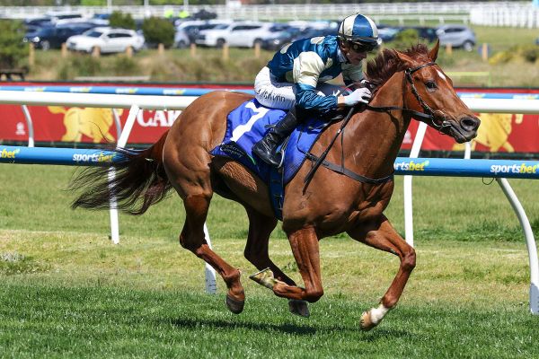 Jimmysstar sharpens up for Manikato