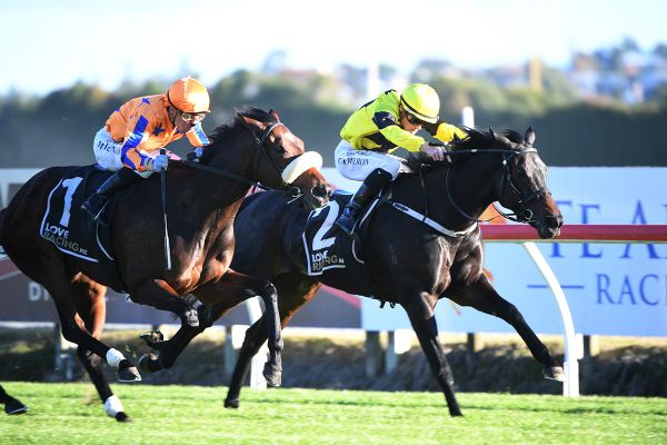 Trainer in no rush with quality mare