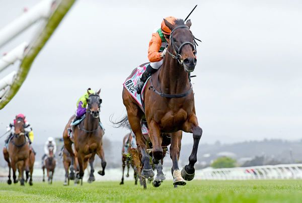 Wanganui gelding Knocks Off stakes win at Trentham