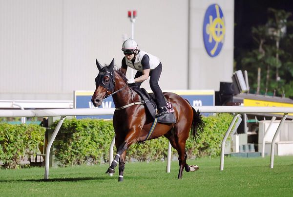 Ka Ying Rising cruises through Sha Tin gallop ahead of travel to Australia