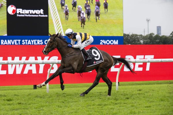 Cup blow for King Pedro as spring hangs by a thread
