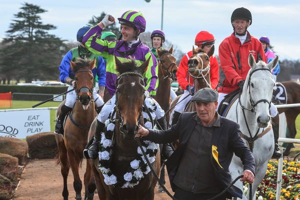 Top jumper returns to the flat ahead of Great New Zealand Steeplechase