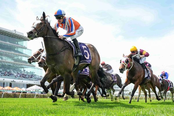 NZ syndicator chasing trans-Tasman fortunes