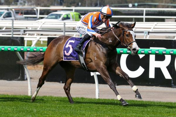 Lara Antipova lands Michael Moroney at Flemington