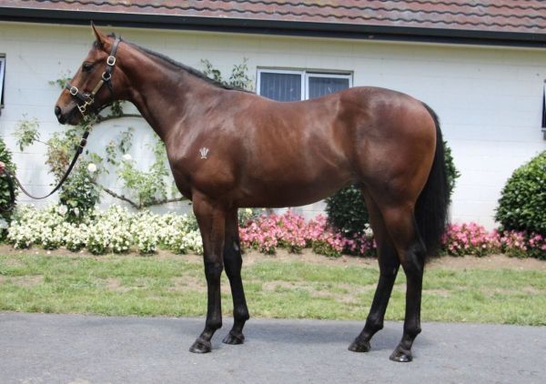 Karaka graduate Nonu impresses at Sydney trials