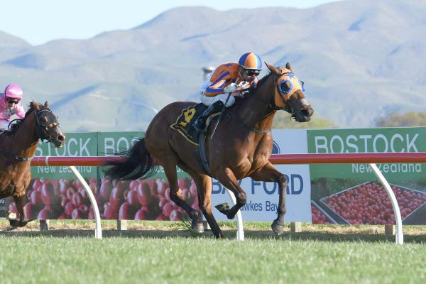 Galvin fondly recalls Melody Belle’s Triple Crown domination