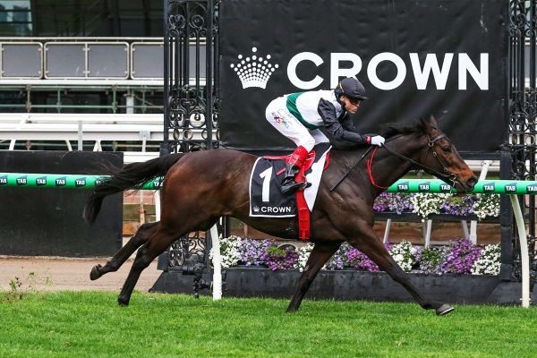Mr B shoots for fourth Makybe Diva win