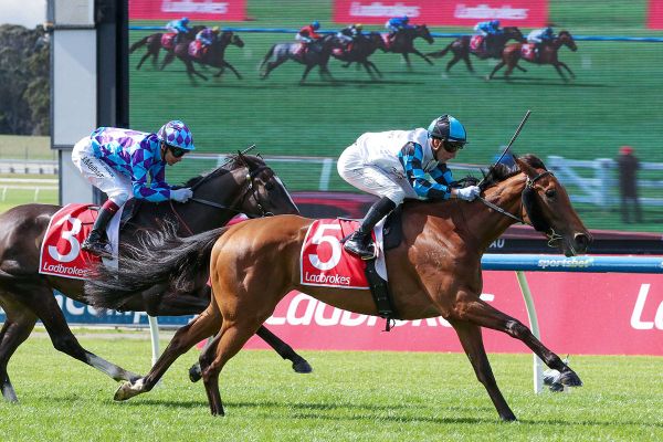 Three in a row for Ocean Bay