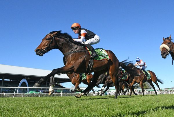 Goodson hoping Old Fashioned can help boost 2000 Guineas status