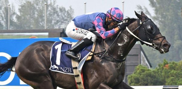 Platinum Emperor rules NZB Open Championship