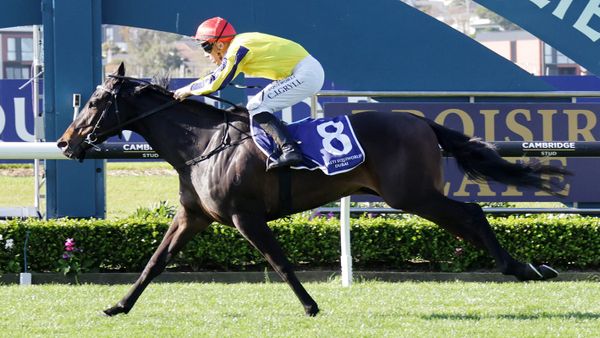 Wexford filly pounces to victory in Sunline Vase