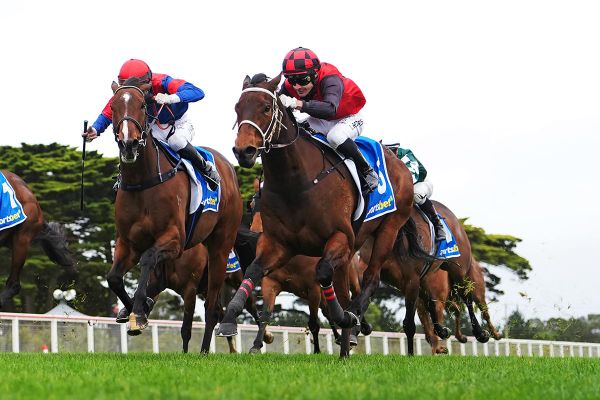 Per Sempre springs surprise at Mornington