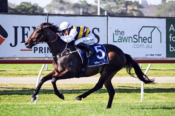 Perfumist makes her mark in NZB Tibbie Stakes