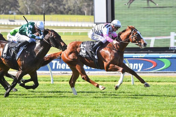 Price sharpens Planet Red, Sabaj for Group One test