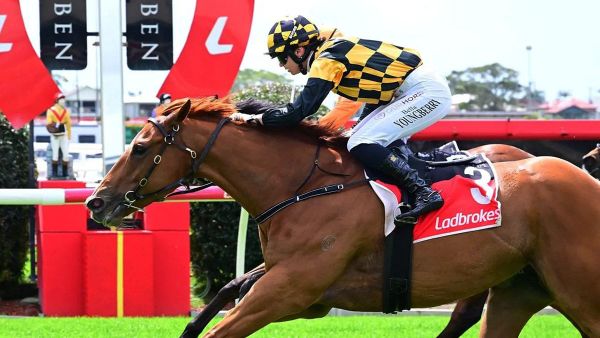 Cambridge Stud’s Livalittle continues rise through Queensland ranks