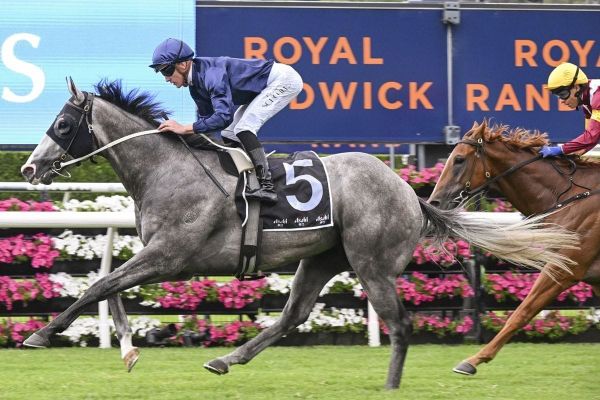 Public Attention primed for Crawford’s second-season launch