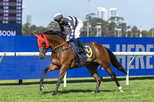 Puntin dances his way to Randwick