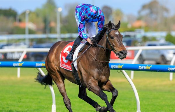 Pride Of Jenni reigns with Feehan hat-trick