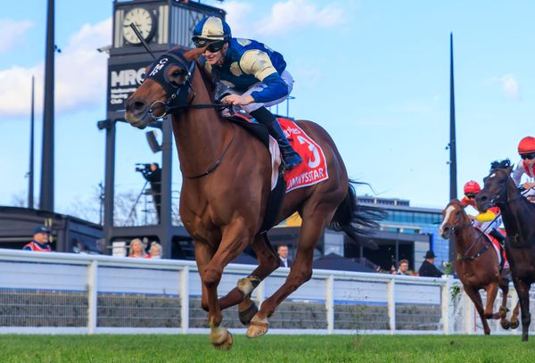 Jimmysstar back to brilliant best in Manikato