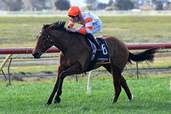 She’s No Saint picture perfect for Sunline Vase