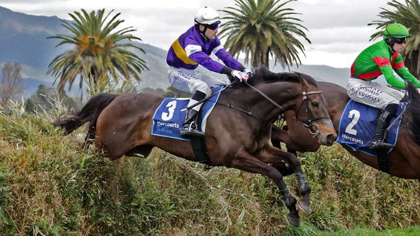 Wood records memorable Pakuranga Hunt Cup double