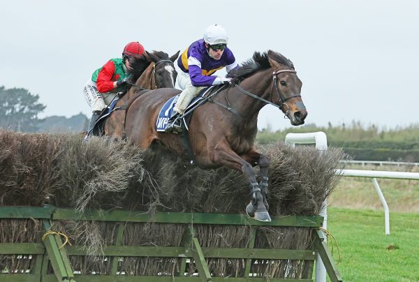 Smug to tackle postponed Pakuranga Hunt Cup