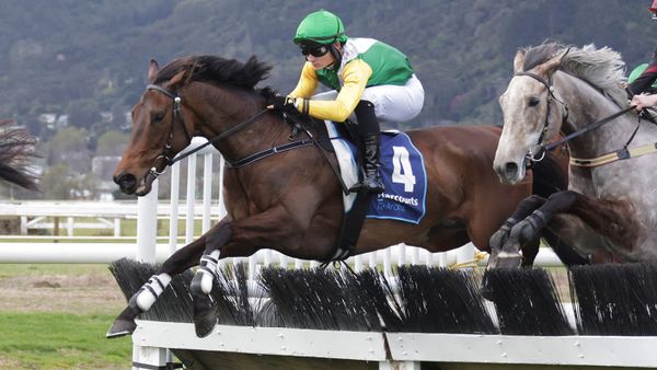 Brosnans quinella Pakuranga Hunt Hurdle
