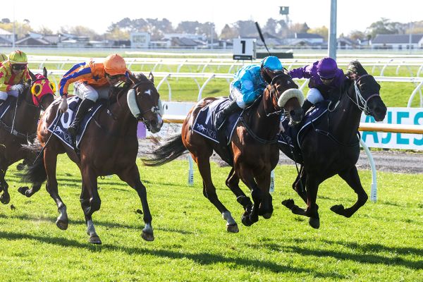 Sweet taste of success for Te Akau filly in Canterbury Belle
