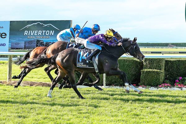 Stumbles seeking sentimental home victory